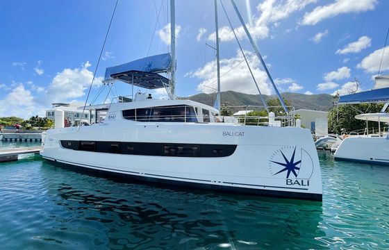 Bali 4.8 Bali Cat