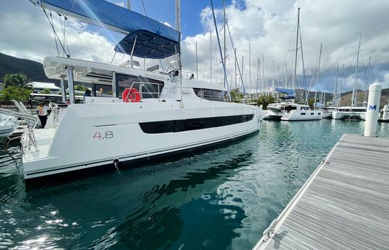Bali 4.8 Bali Cat