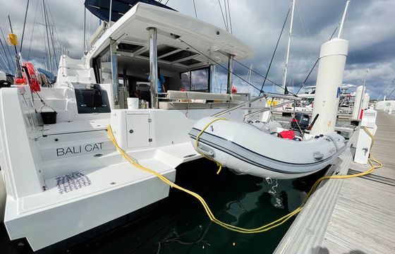 Bali 4.8 Bali Cat