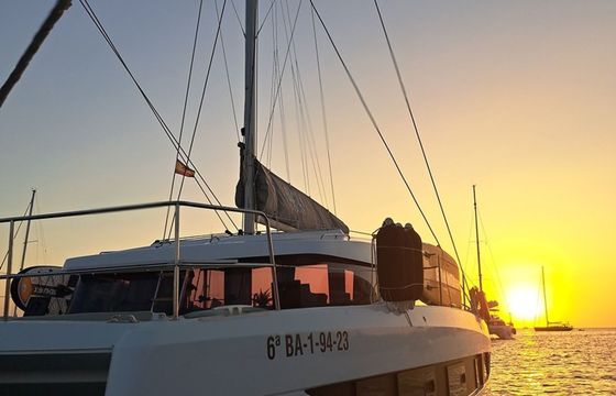 Bali Catsmart Dortoka