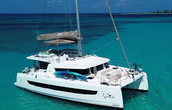 Bali 4.8 Kittiwake