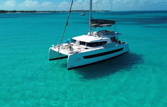Bali 4.8 Kittiwake
