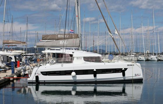 Bali Catsmart Starseeker