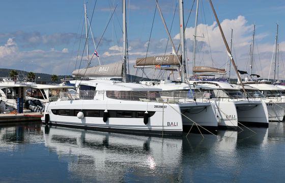 Bali Catsmart Starseeker
