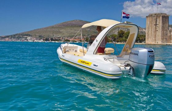 Barracuda 20 Aquamax