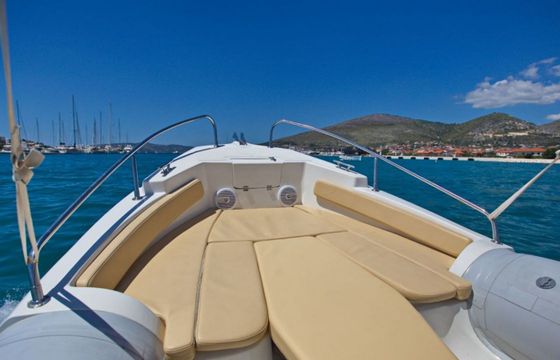 Barracuda 20 Aquamax