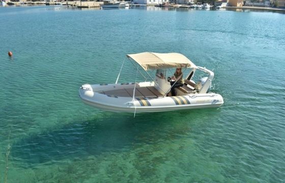 Barracuda 530 Amfora