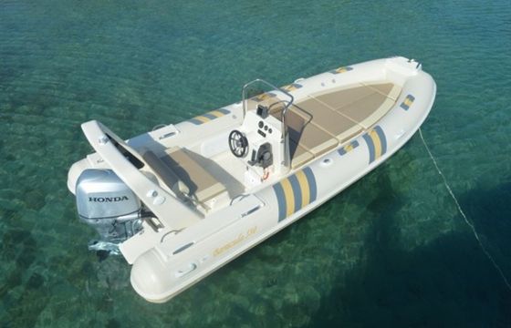 Barracuda 530 Amfora