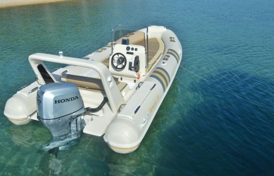 Barracuda 530 Amfora