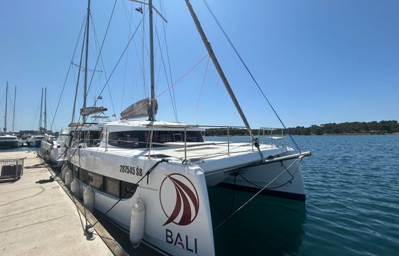 Bali Catsmart Gaja
