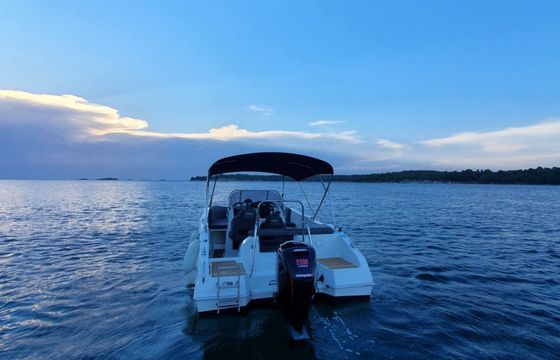 Barracuda 545 SX