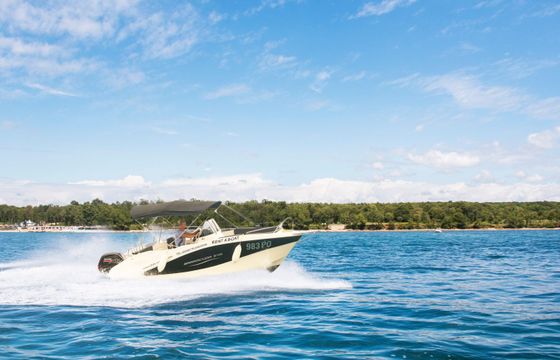 Barracuda 545 SX