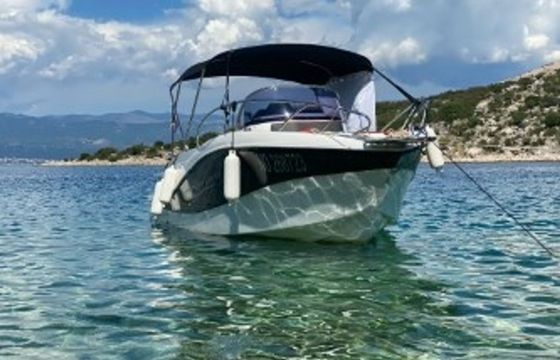 Barracuda 595 Lufi