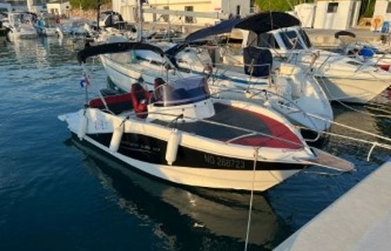 Barracuda 595 Lufi