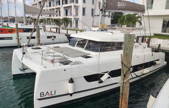 Bali Catspace Purrseverance