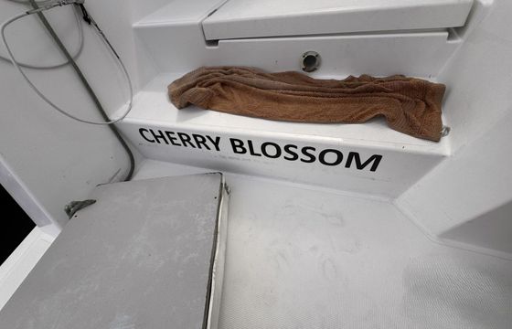 Bali Catsmart Cherry Blossom