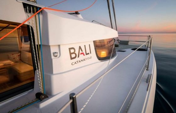 Bali Catsmart Zen Flow