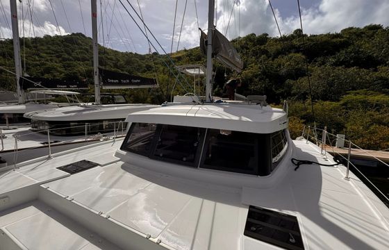 Bali Catspace Glory Lily