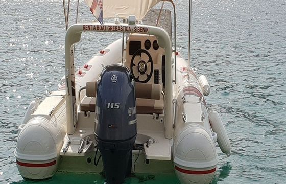 Barracuda 530 Barracuda