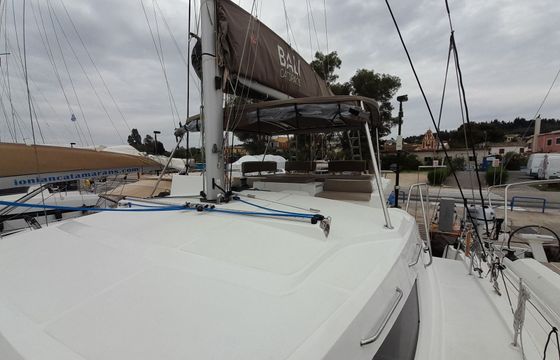 Bali Catspace Perseids