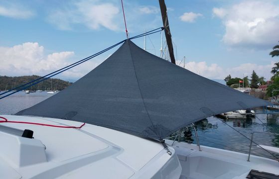 Bali Catspace Moana 2
