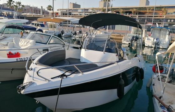 Barracuda 545 La Perla