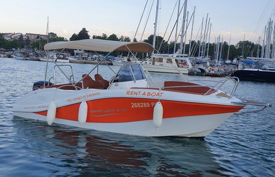 Barracuda 545 Orange