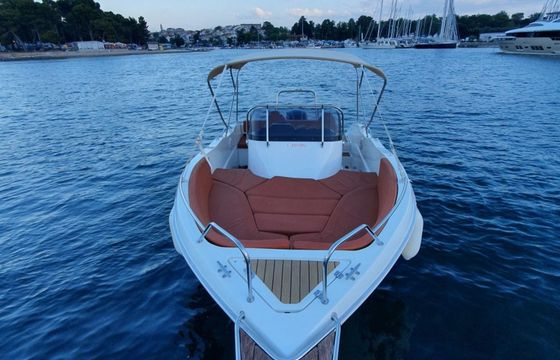 Barracuda 545 Orange