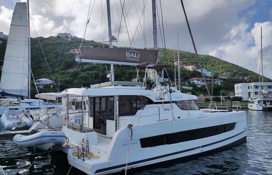Bali Catspace Pinnacle Cat