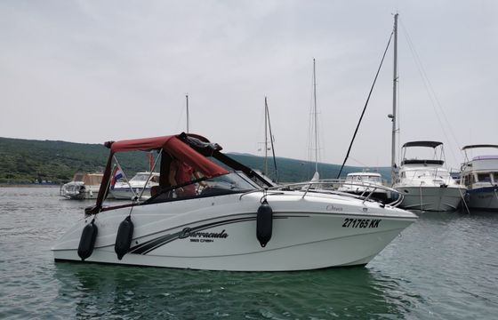 Barracuda 585 17