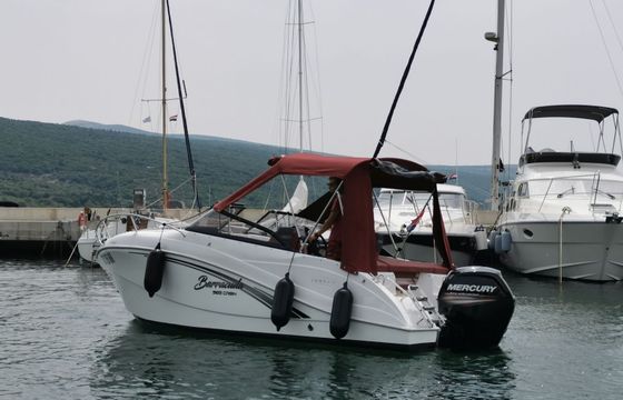 Barracuda 585 17