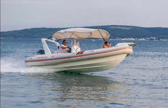Barracuda 590 Barracuda