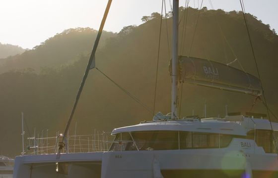 Bali Catspace Rea