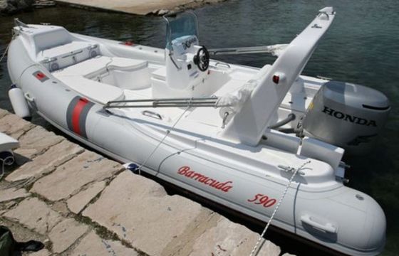 Barracuda 590 Barracuda 11