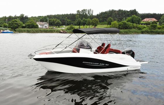 Barracuda 595 21