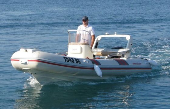 Barracuda 530 Barracuda