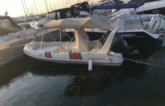 Barracuda 530 Barracuda