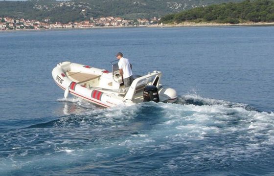 Barracuda 530 Barracuda