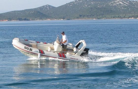 Barracuda 530 Barracuda
