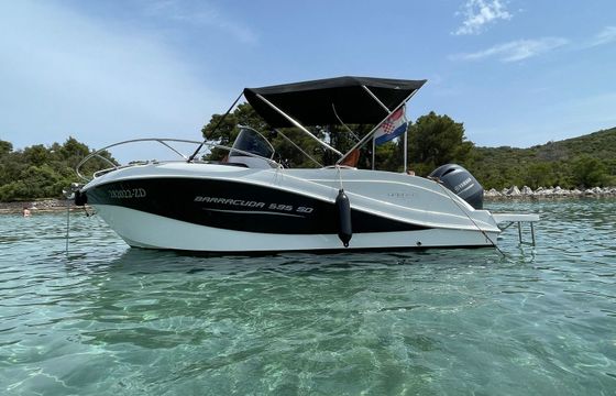 Barracuda 595 Muka
