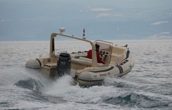 Barracuda 590 Barracuda 12