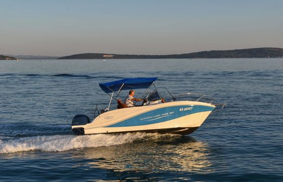 Barracuda 595 Barracuda