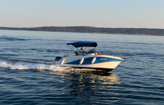 Barracuda 595 Barracuda