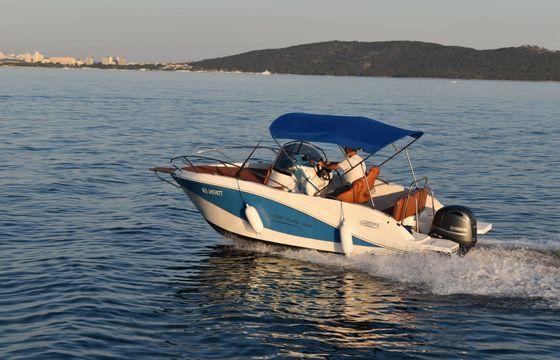 Barracuda 595 Barracuda