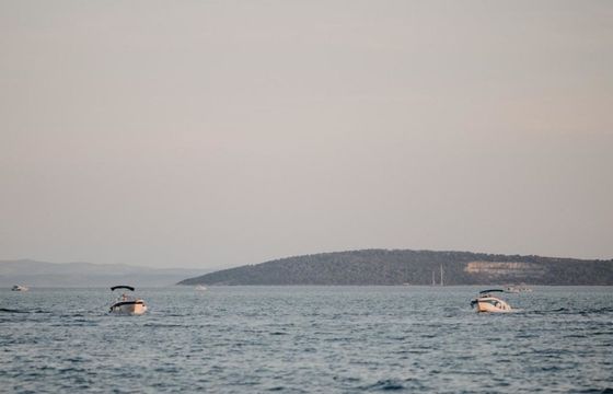 Barracuda 595 Barracuda