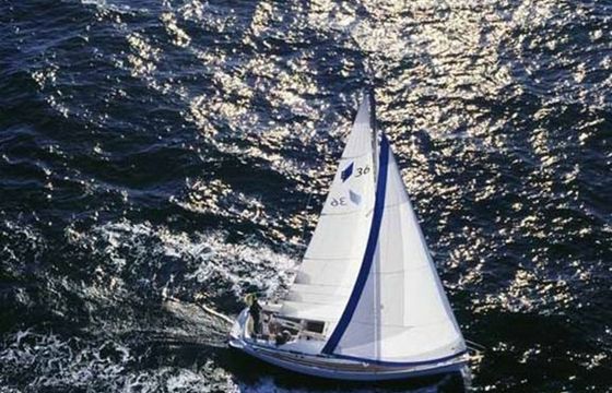 Bavaria 36 True North