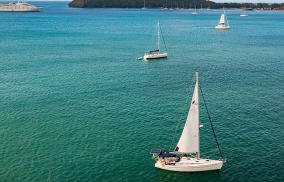 Bavaria 38 Cruiser Wine Down