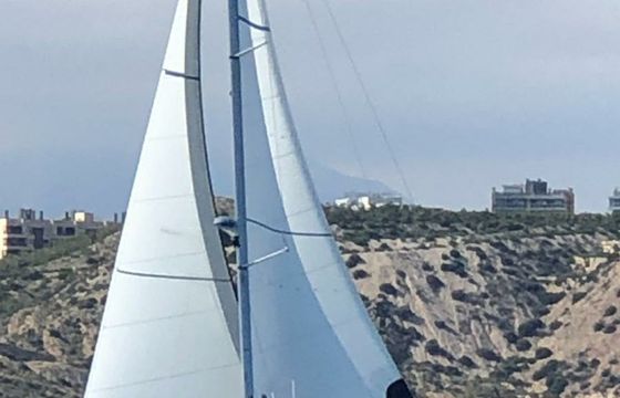 Bavaria 39 Cruiser Al Alba