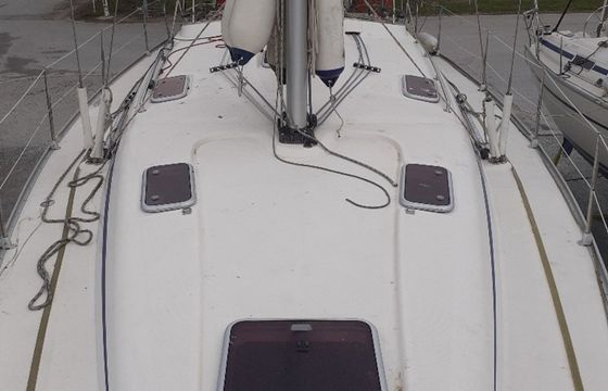 Bavaria 43 Cruiser Beta