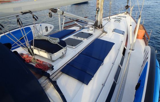 Bavaria 50 Amor